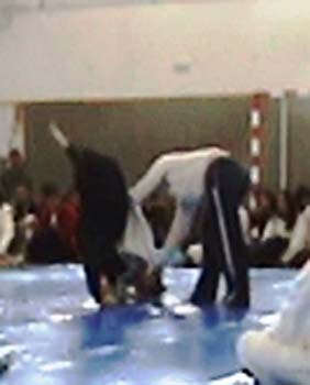 instituto-24