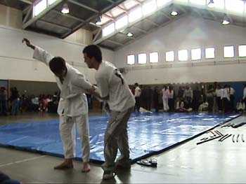 instituto-28