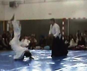 instituto13