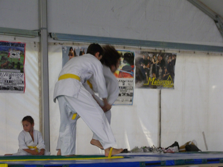 IMGP0243